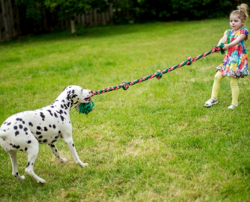 Neue-Wege.dog Hundeseminar Let´s play the game